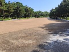 -汉长安城未央宫国家考古遗址公园