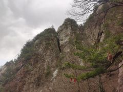 -老君山风景名胜区