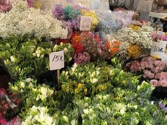 -循礼门鲜花花市(武汉循礼门店)