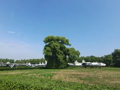 -中国航空博物馆