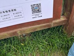 -日照海滨国家森林公园