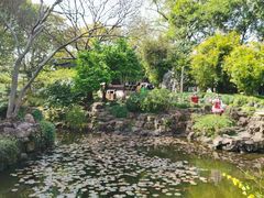 -上海醉白池公园