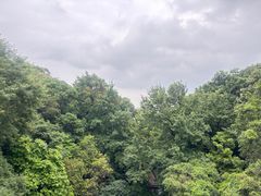 -西樵山风景名胜区-天湖公园