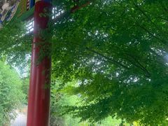 -南武当山景区