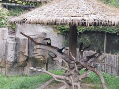 -上海野生动物园