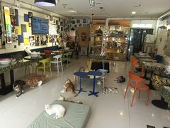 -平行世界·猫咖(首经贸店)