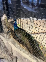 -酷嗒动物文化乐园(cutezoo西溪乐天城店)