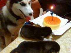 -皇冠 · 玛莉奥(丽江店)