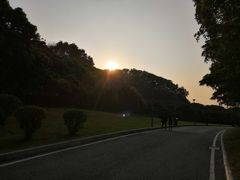 -东莞植物园