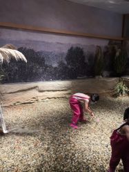 -造物庄园 萌宠纪(苏州湾歌林公园店)