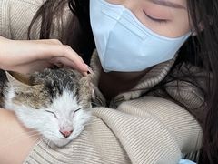 -嘉馨宠物医院·CT影像转诊·心脏科·犬猫全科诊疗中心(下沙大学城院区)