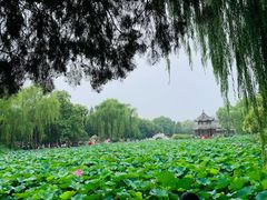 -莲池书院博物馆