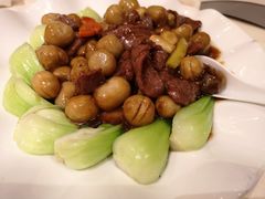 耗油草菇牛肉-广东胜利宾馆西关粤中餐厅