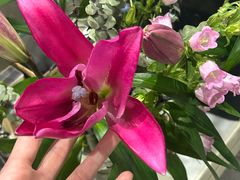 -循礼门鲜花花市(武汉循礼门店)