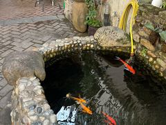 -茶米人台湾料理·精致快简餐