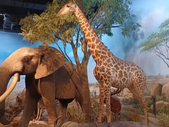 -陕西自然博物馆