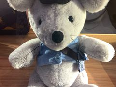 -lululemon(上海浦东IFC店)