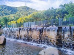 -北仑森林植物园