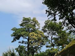 景点-东望洋炮台东望洋灯塔