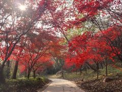 -天生桥景区