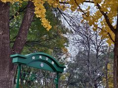 -玲珑塔公园