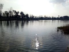 -白鹭湾湿地公园