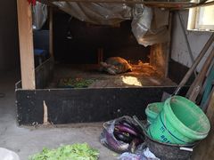 -北戴河集发农业梦想王国