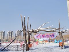 -北戴河集发农业梦想王国