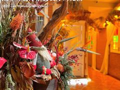 -叶叶菩提·晋福宫