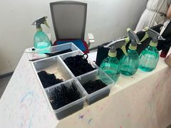 -中央芭蕾舞团·中芭艺蕾(酒仙桥明星校区)
