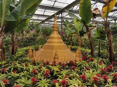 -南宫五洲植物乐园