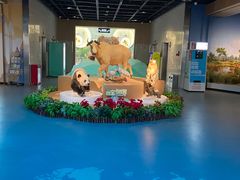 -陕西自然博物馆