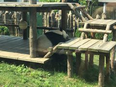 -大连森林动物园