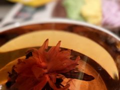 -芸山季·云南山珍菌火锅(人民广场来福士店)