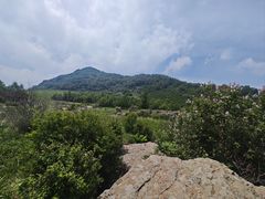 -白草畔自然风景区