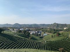 -帐篷客·溪龙茶谷度假酒店