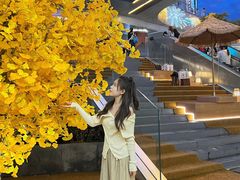 -石家庄万象城
