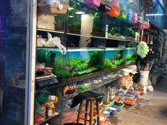 -双季花艺园艺市场(浦东店)