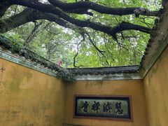 -普陀山慧济禅寺