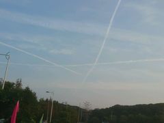 -荔枝红五号农庄