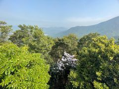 -梧桐山风景名胜区