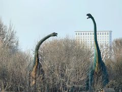 -天津市动物园