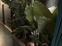 -涟LIAN·泰式按摩·MASSAGE·SPA(华强北店)