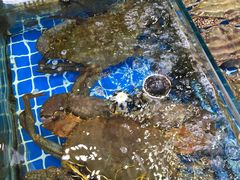 -江杨农产品批发市场