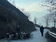 -萝卜寨羌文化生态旅游区