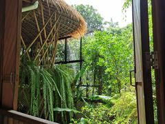 -Naughty Nuri’s Phuket