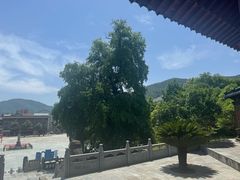 -报恩寺(平武县)