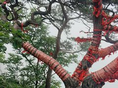 -丹东凤凰山景区