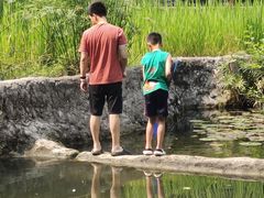 -成都市活水公园