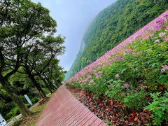 -广州市石门国家森林公园
